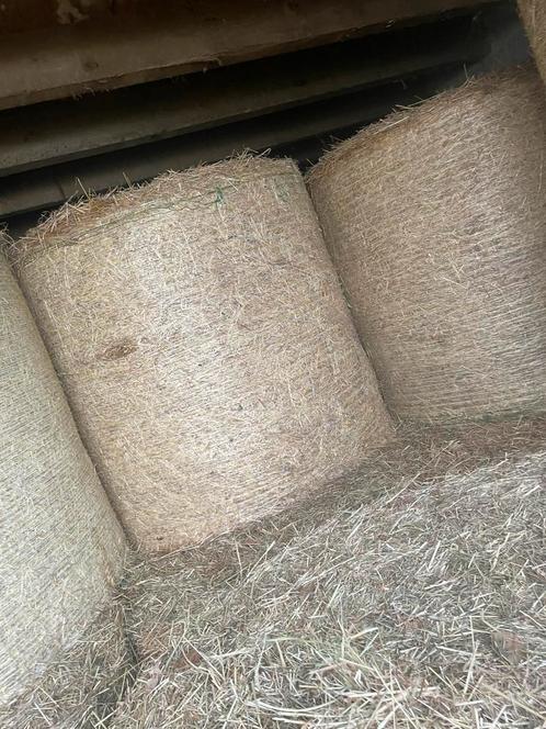 Ronde balen hooi 1ste snede 2024, Dieren en Toebehoren, Dierenvoeding, Ophalen