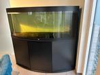 Aquarium Juwel, Ophalen, Zo goed als nieuw, Leeg aquarium