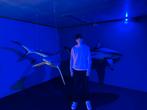 aquiarium, Muziek en Instrumenten, Licht en Laser, Ophalen of Verzenden, Zo goed als nieuw