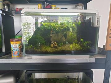 Superfish Home Aquarium, Dieren en Toebehoren, Ophalen of Verzenden