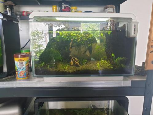 Superfish Home Aquarium, Dieren en Toebehoren, Vissen | Aquaria en Toebehoren, Ophalen of Verzenden