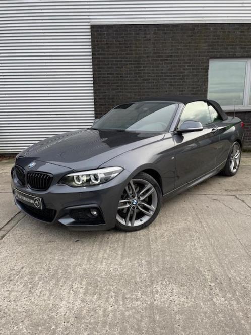 Bmw 220i // cabrio // M pakket, Autos, BMW, Entreprise, Achat, Série 2, ABS, Airbags, Air conditionné, Alarme, Apple Carplay, Bluetooth