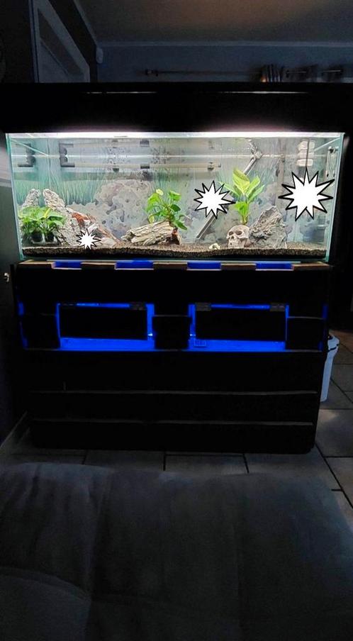 Aquarium 300L + pompe + accessoires, Dieren en Toebehoren, Vissen | Aquaria en Toebehoren, Gebruikt, Ophalen of Verzenden