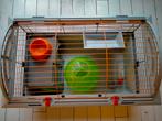 Kooi met toebehoren voor knaagdier, Ophalen, Kooi, Cavia