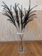 Vaas rond, Enlèvement