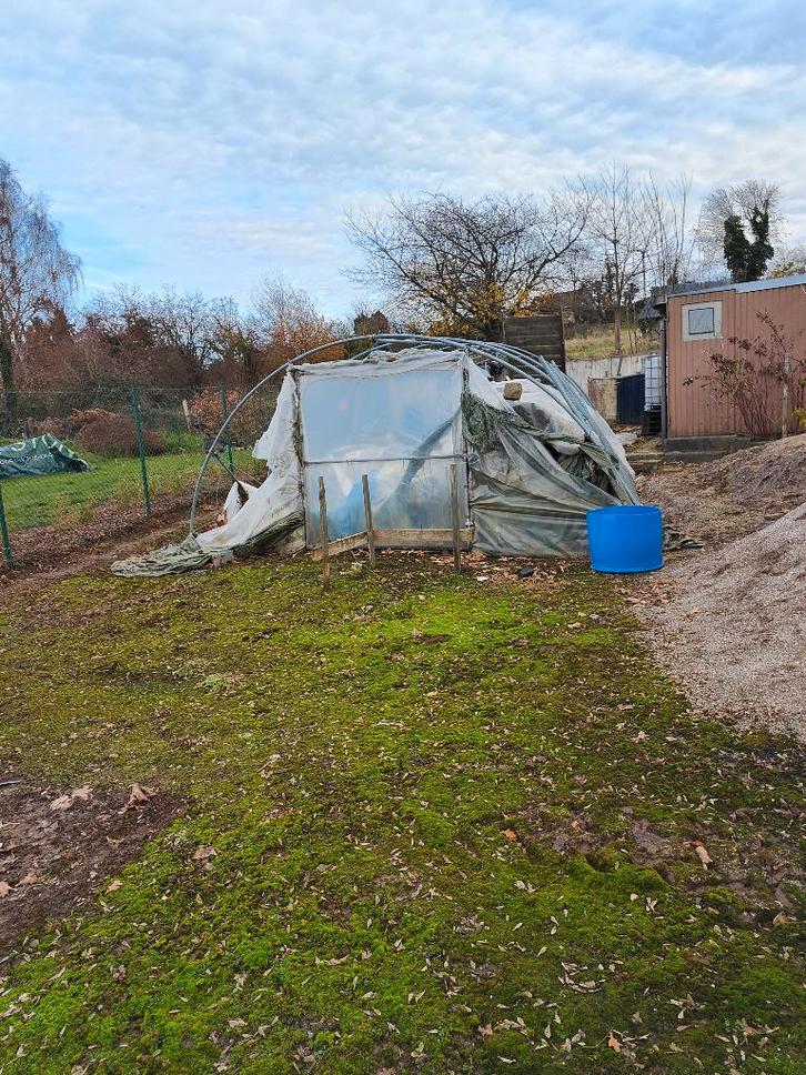 Tunnelserre van 14 m X 4,80 m, Tuin en Terras, Kassen, Gebruikt, Kweekkas, Aluminium, Overige materialen, Ophalen
