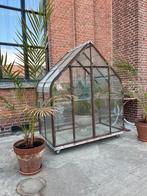Oude druivenkas serre, Tuin en Terras, Ophalen, Glas, Gebruikt, Staal