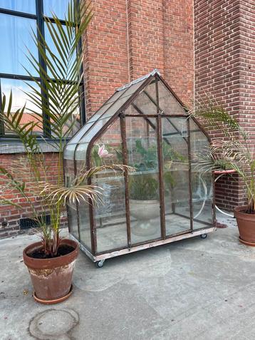 Oude druivenkas serre, Tuin en Terras, Kassen, Ophalen, Glas, Gebruikt, Staal