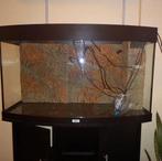 Juwel Vision 180 - Aquarium & Kast + Toebehoren, Dieren en Toebehoren, Ophalen, Gebruikt, Filter of Co2