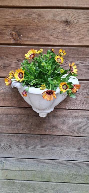 Oude gietijzeren pispot/oud urinoir/tuinornament beschikbaar voor biedingen