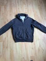 Ralph Lauren Hoodie, Kleding | Heren, Ophalen, Ralph Lauren, Overige maten, Zo goed als nieuw