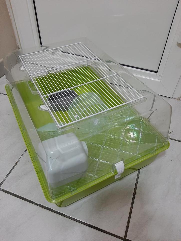 Hamsterkooien, Dieren en Toebehoren, Knaagdieren en Konijnen | Hokken en Kooien, Zo goed als nieuw, Ophalen of Verzenden