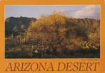AMERIKA -  Arizona Desert - Palo Verde Tree  + Mooie zegel !, Verzamelen, Postkaarten | Buitenland, Verzenden, 1980 tot heden