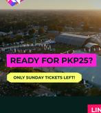 Pukkelpop vrijdag ticket, Tickets en Kaartjes, Evenementen en Festivals, Eén persoon, Meerdaags