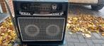 Te koop swr bass comb workingspro 2x10 met ingebouwd tuner, Muziek en Instrumenten, Snaarinstrumenten | Gitaren | Bas, Ophalen