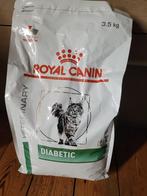 Royal Canin diabetic, Ophalen of Verzenden, Kat