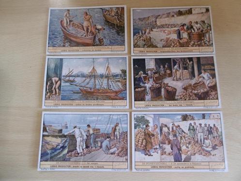 tirages liebig oxo, série complète de 6 cartes, Collections, Photos & Gravures, Neuf, Gravure, Autres sujets/thèmes, 1940 à 1960
