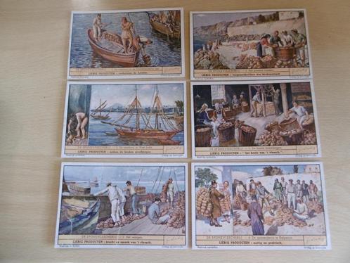 prenten liebig oxo, volledige series van 6 kaarten, Verzamelen, Foto's en Prenten, Nieuw, Prent, Overige onderwerpen, 1940 tot 1960