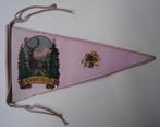Fanion / Drapeau Ardennes Belges +/- 1950, Ophalen of Verzenden, Gebruikt