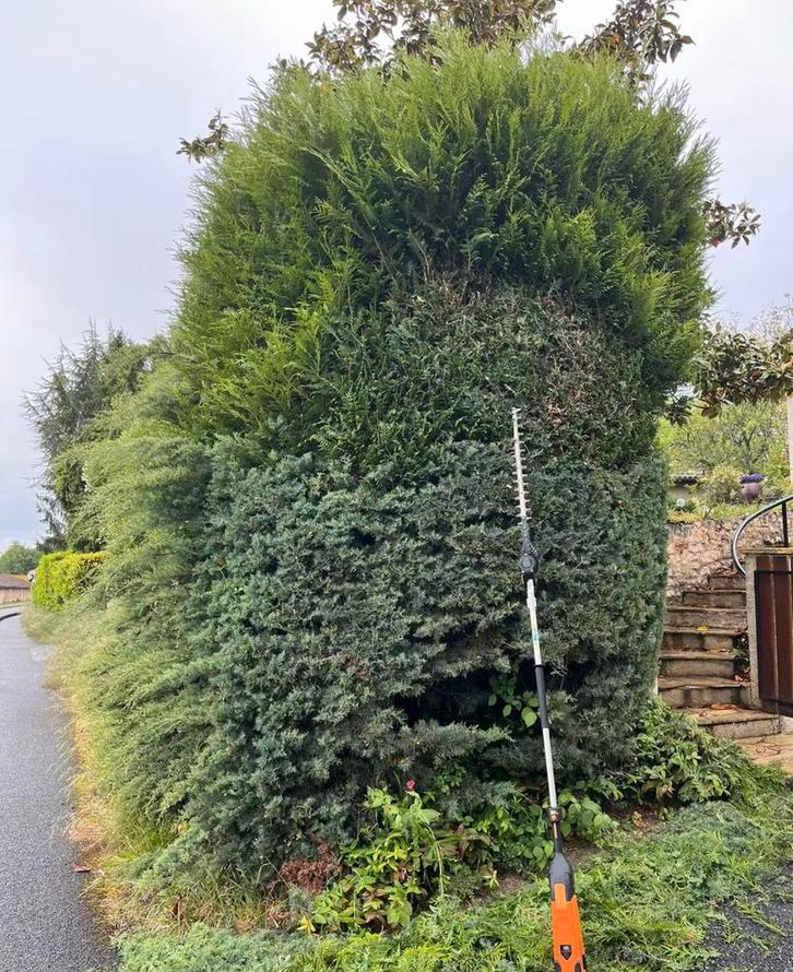 Jardinage, Boeken, Wonen en Tuinieren, Nieuw, Tuinieren en Tuinplanten, Ophalen of Verzenden