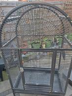 Papegaaienkooi, Dieren en Toebehoren, Ophalen