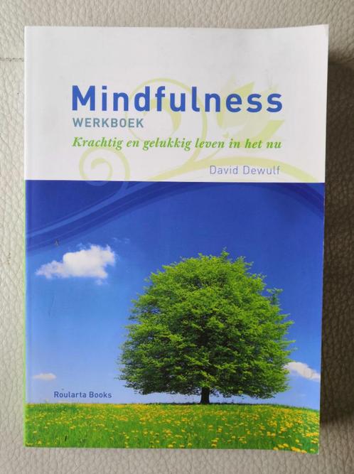 Mindfulness Werkboek, by David Dewulf   (Nieuw), Livres, Conseil, Aide & Formation, Neuf, Enlèvement ou Envoi