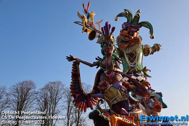 Carnavalswagen Thema Madri Gras!, Hobby & Loisirs créatifs, Articles de fête, Comme neuf, Article de fête, Enlèvement