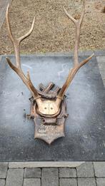 Gewei 1869, Verzamelen, Dierenverzamelingen, Ophalen