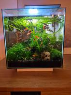 Super fish 30l met inhoud, Animaux & Accessoires, Enlèvement