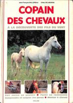 Paardenmaatje — J.F. Ballereau & Gilles De., Boeken, Ballereau et Delaborde, Paarden of Pony's, Ophalen, Gelezen