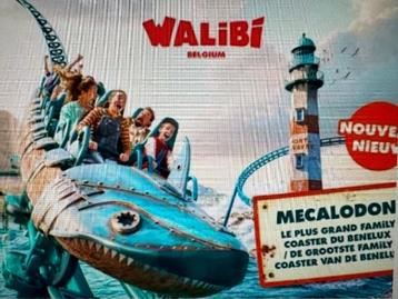 2 INSCHRIJVINGEN — WALIBI BELGIUM beschikbaar voor biedingen