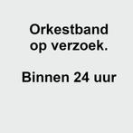 Orkestband / karaoke / instrumentale versie laten maken, Muziek en Instrumenten, Orkestbanden, Download of E-mail, Verzenden