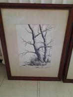 Gesigneerde pentekening – 2 bomen – 48  38 cm, Ophalen, Minder dan 50 cm, Tekening, Zo goed als nieuw
