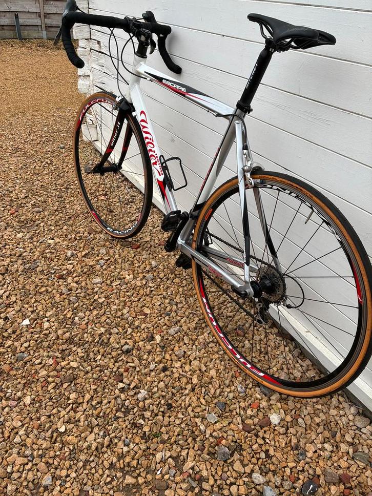 Willier triestina, Fietsen en Brommers, Fietsen | Racefietsen, Gebruikt, Ophalen