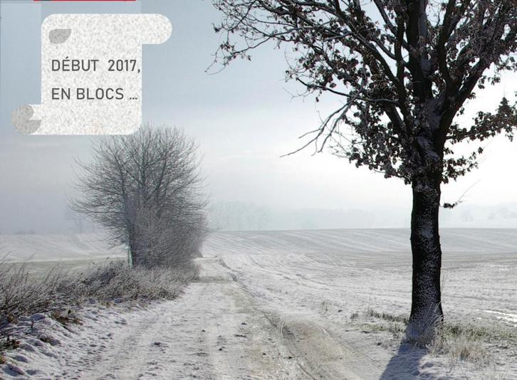 NIEUWE STEMPELBLOKKEN - BELGIË - EUROPA, Postzegels en Munten, Postzegels | Europa | België, Postfris, Frankeerzegel, Overig, Met stempel