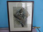 vintage art print woodpeckers, Huis en Inrichting, Minder dan 50 cm, Gebruikt, Ophalen of Verzenden, Print