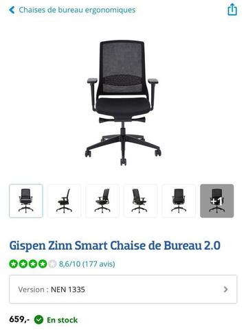Chaise de bureau pro - Gispen Zinn NEN 1335