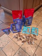 Kattenvoeding, kauwsticks, snoepjes en kattenmelk, Enlèvement, Chat