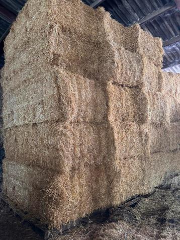 Grote baken hooi el stro beschikbaar voor biedingen