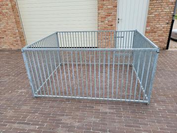 Hondenren puppyren beschikbaar voor biedingen