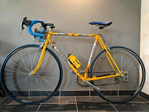 Retro koersfietsen uit collectie Chesini peugeot Moser Uscan, Fietsen en Brommers, Fietsen | Oldtimers, Ophalen