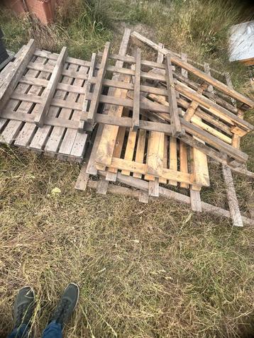 Hout brandhout gratis beschikbaar voor biedingen
