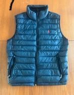 Marine blauw bodywarmer Ralph Lauren M, Ralph Lauren, Zo goed als nieuw, Verzenden, Maat 48/50 (M)
