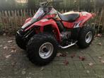 Suzuki LT80, Motos, Quads & Trikes