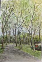 Aquarel "Platanenlaan in Vrijbroekpark Mechelen”L.Boschmans, Ophalen of Verzenden