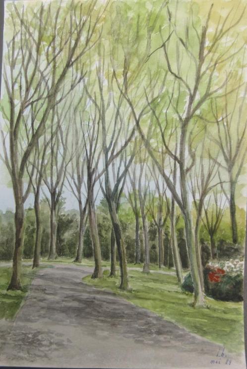 Aquarel "Platanenlaan in Vrijbroekpark Mechelen”L.Boschmans, Antiek en Kunst, Kunst | Schilderijen | Klassiek, Ophalen of Verzenden