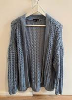 Prachtige lichtblauwe cardigan, Kleding | Dames, Ophalen of Verzenden, Zo goed als nieuw, Maat 38/40 (M), Blauw