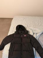 Tommy Hilfiger en The north face jassen, Neuf, Enlèvement ou Envoi, Tommy hilfiger, Taille 48/50 (M)