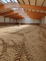 Zadelmak maken paard, Zadelmak, Springpaard