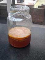 Kombucha zwam Scoby te koop, Enlèvement
